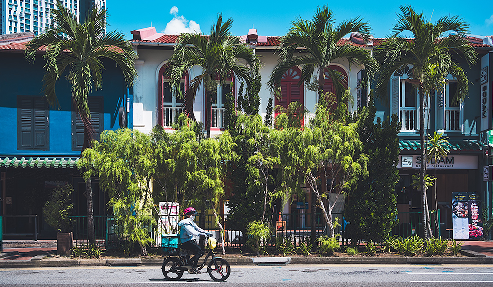 Seven Days in Singapore: Witive’s Journey