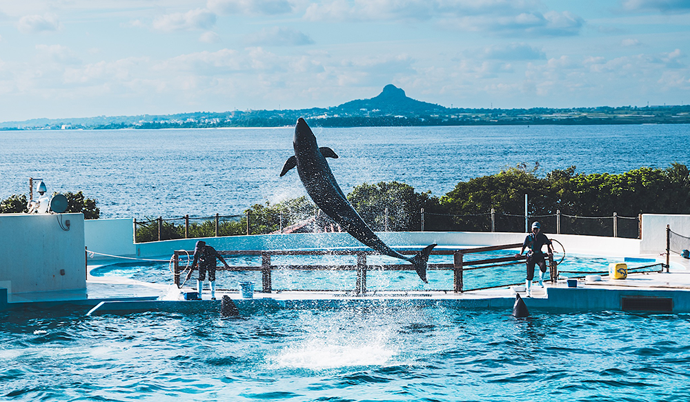 WITIVE 2025 Okinawa Team Workshop – Moving Beyond Collaboration Toward Connection