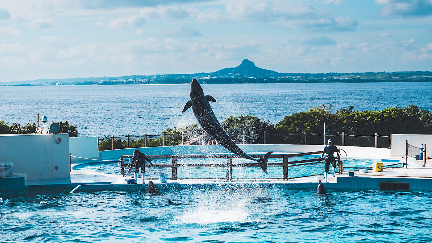 WITIVE 2025 Okinawa Team Workshop – Moving Beyond Collaboration Toward Connection