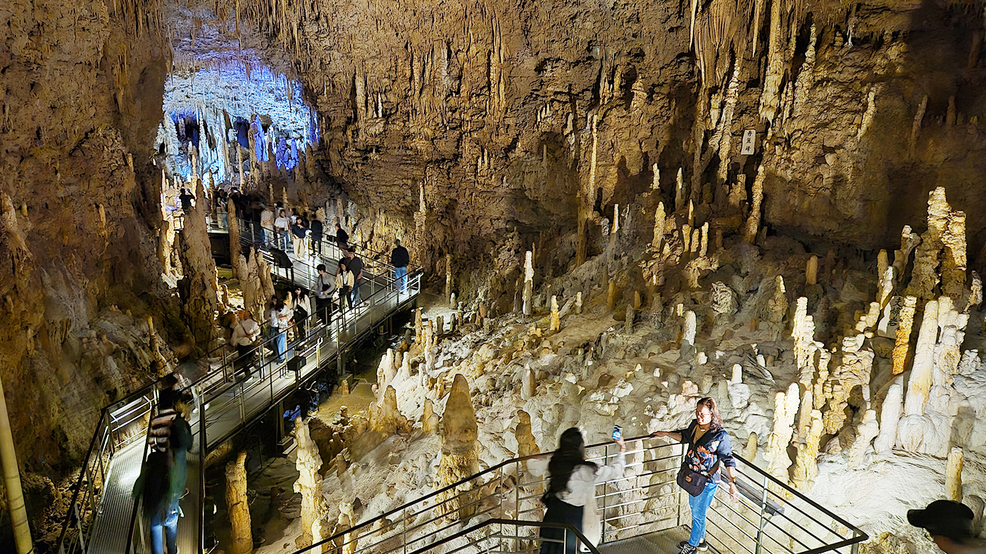 WITIVE 2025 Okinawa Team Workshop – Moving Beyond Collaboration Toward Connection